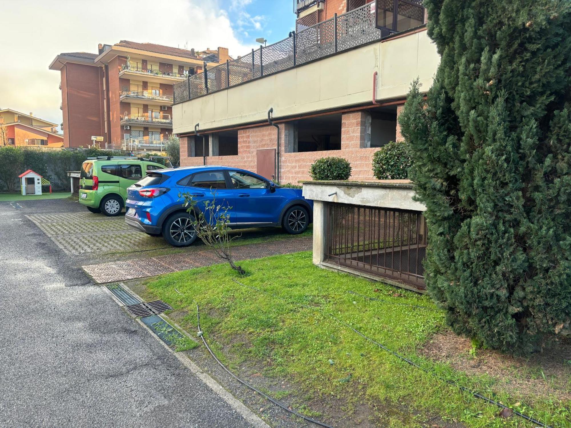 Apartment Niobe